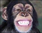 smiling_monkey
